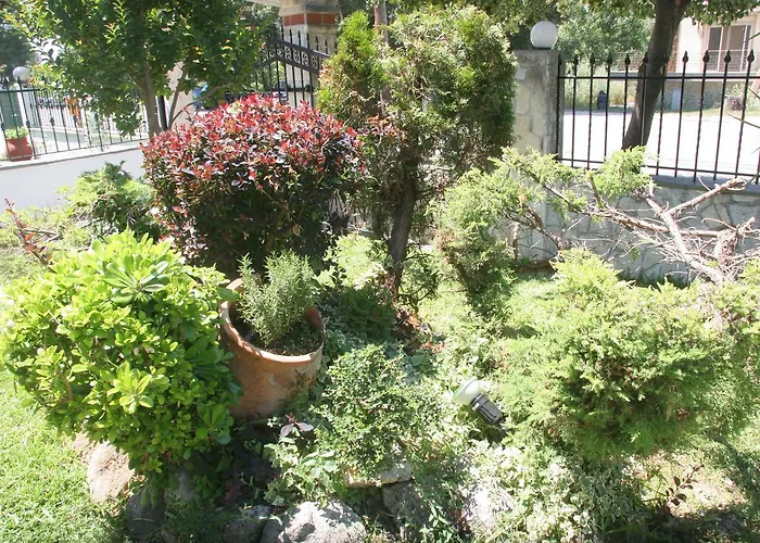 公寓 内里斯公寓 *